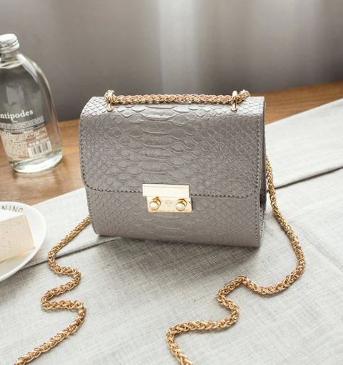 Summer Small Chain Leather Bag