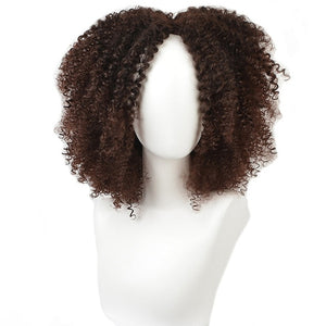 Short Afro Kinky Curly Wig