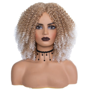 Short Afro Kinky Curly Wig